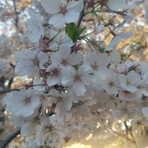 Meet your Posher, Nadia